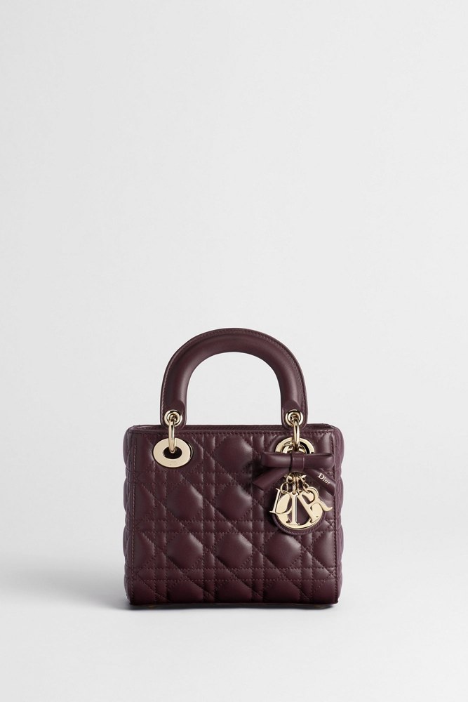 Mini Lady Dior Bag with Chain