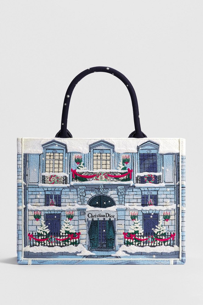 Medium Dior Book Tote with Strap