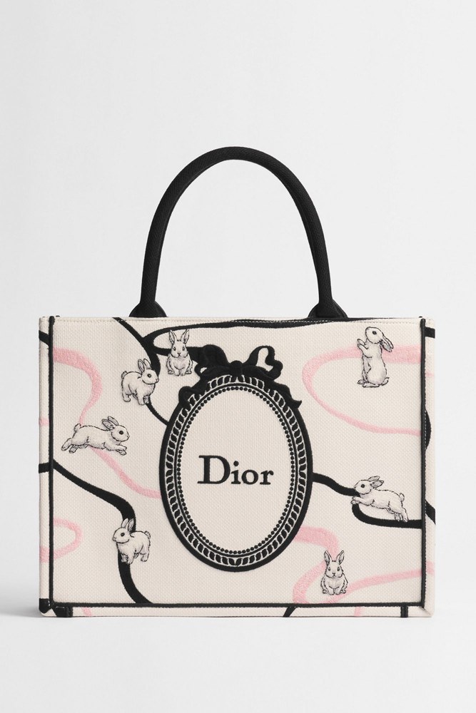 Medium Dior Book Tote with Strap