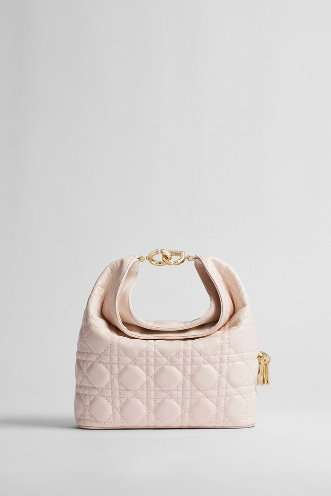 Small Dior Toujours Hobo Bag
